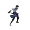 Sasuke 1 gigapixel low res scale 2 00x