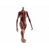 Sběratelská figurka Armin Arlert: Colossus Titan Ver. L Size Pop Up Parade - 26 cm