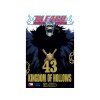 bleach 43 kingdom of hollows manga animerch.cz 1