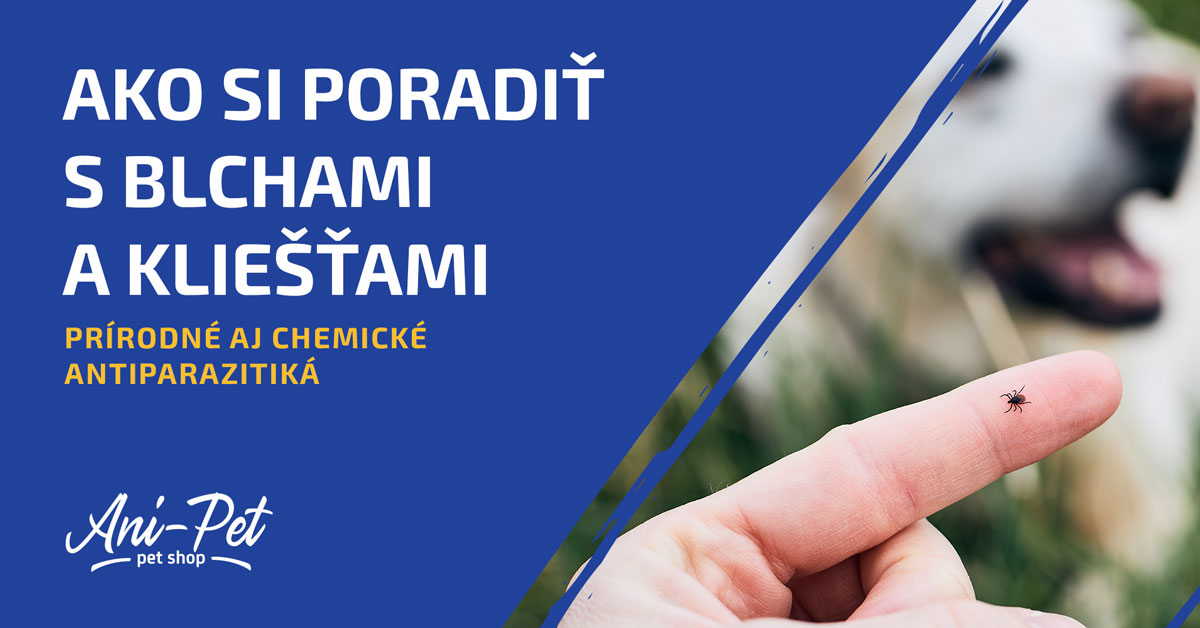 Ako si poradiť s blchami a kliešťami – prírodné aj chemické antiparazitiká