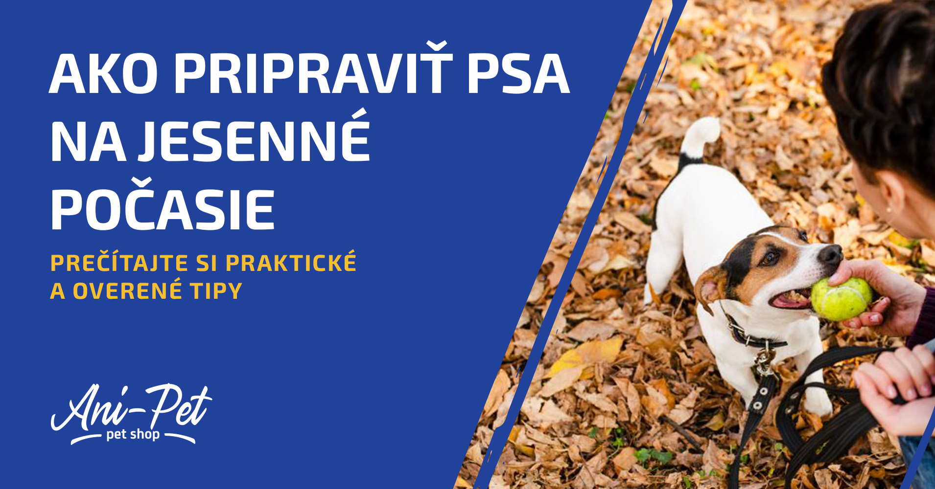 Ako pripraviť psa na jesenné počasie – oblečenie, výživa a starostlivosť