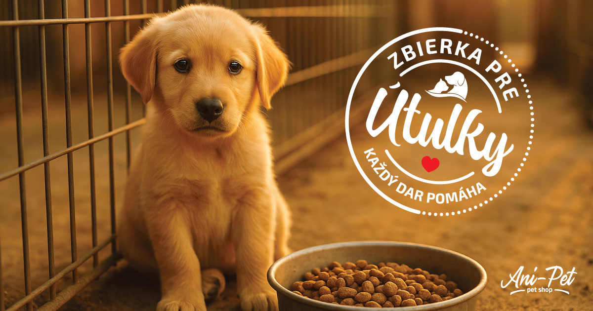 Zbierka pre útulky v predajniach Ani-pet