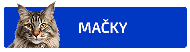 Mačky