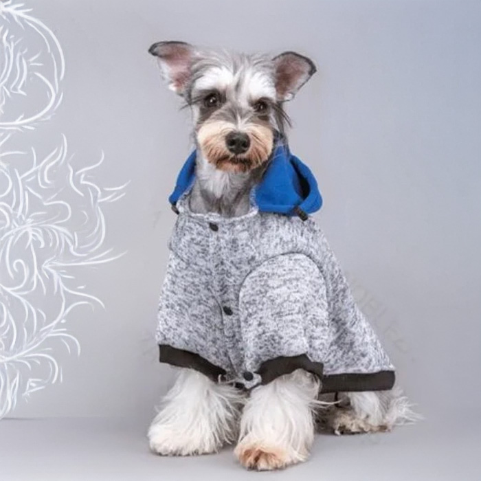 Teplé oblečky a bundy pre psov