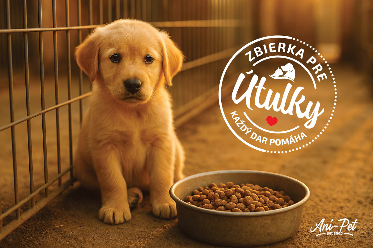 Zbierka pre útulky v predajniach Ani-pet