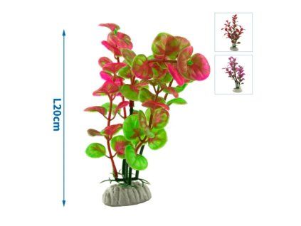 Nobleza 033065