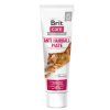 Brit AntiHairball pasta pre macky 100g