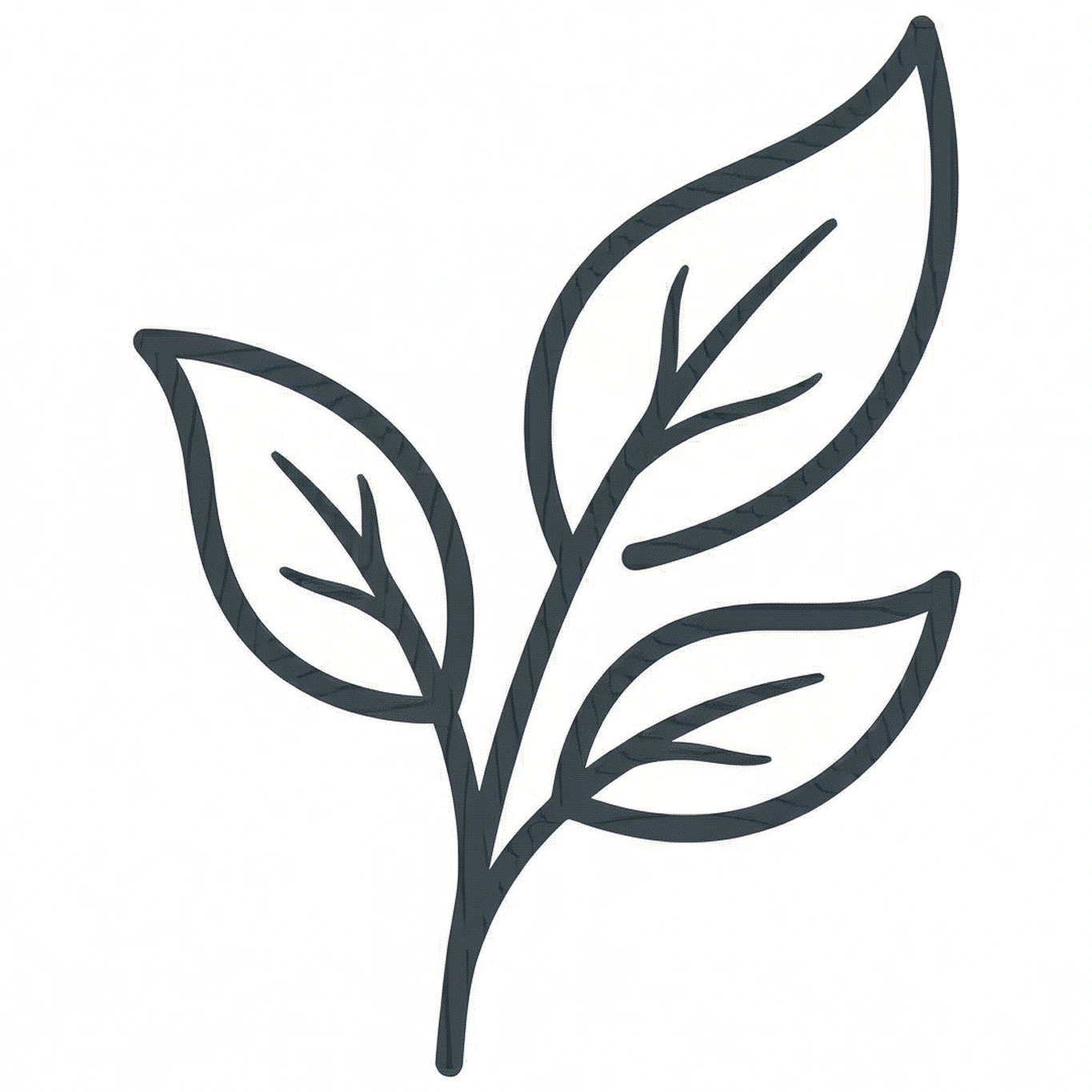 100% natural ingredients