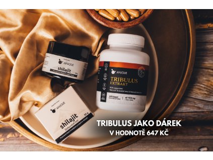 + TRIBULUS JAKO DÁREK (4)