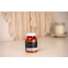 Tribulus extrakt 95 % saponinů / 100 kapslí