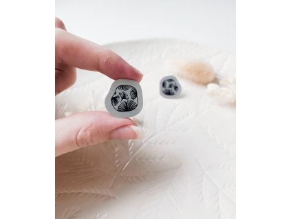 Ginkgo asymetrické stříbrné 01