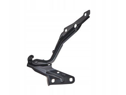 Ram 1500 2013-2018 Pant kapoty