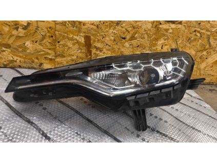 WhatsApp Image 2026 02 09 at 13.47.40