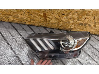 WhatsApp Image 2026 02 10 at 14.38.54