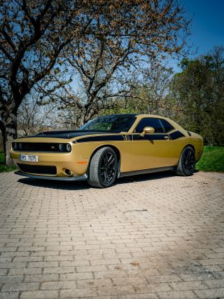 Náš DODGE Challenger T/A v manuálu!🤩 Ta zlatá tomu dodává šmrnc😎 #dodge #challenger #photo #fyp #americanmusclecars