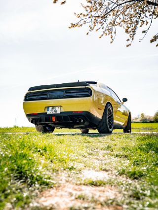Poslední ze série Dodge Challenger T/A!😎 Jak se vám tohle auto líbí? ✉️✅ #photo #americanmusclecars #fy #fyp #rentcar