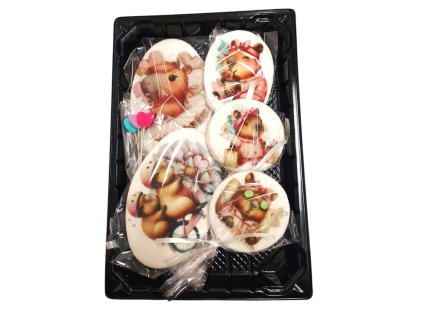 Cukrové zápichy Kapybara (více variant)