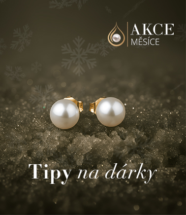AKCE MĚSÍCE nabídka - 25-12