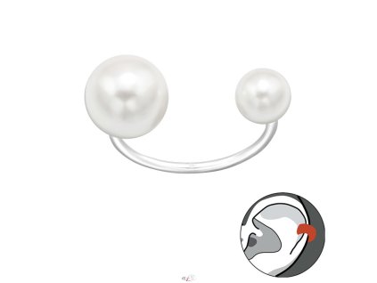 A4S0050 F 01
