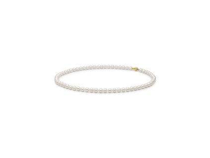 GAU0435 F 01 FARWG685 1