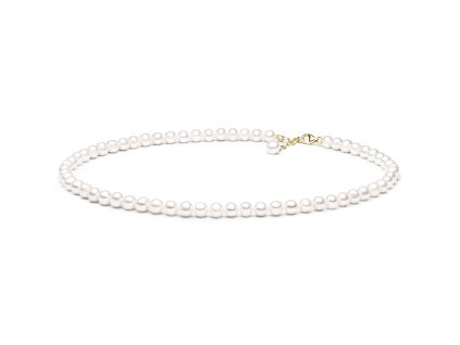 GAU0441 F 01 PYFARW575