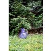 5711 5 paris hobnail jug 2l indigo