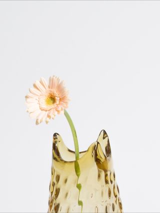 Launching this Thursday in Copenhagen🇩🇰 together with @samirakudskpr. A collaboration between Anna von Lipa’s...