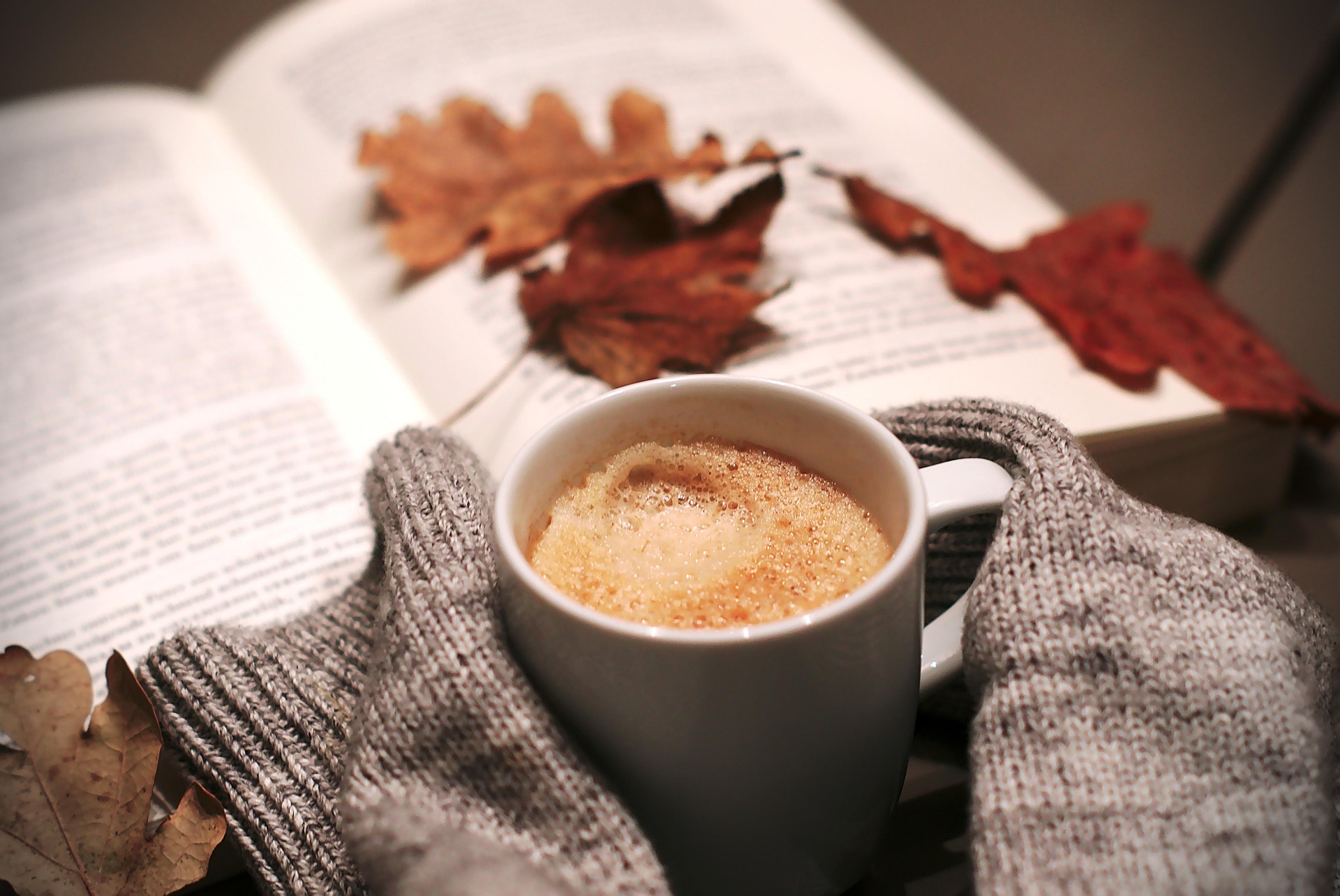 🍂 Podzim - to je začátek knižní sezóny