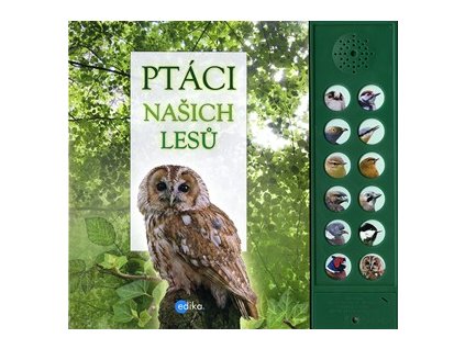 Ptaci nasich lesu