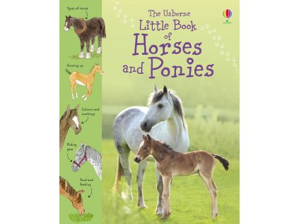 9781409508694 cover image (1)