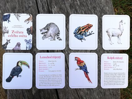 karty zvířata světa montessori 0