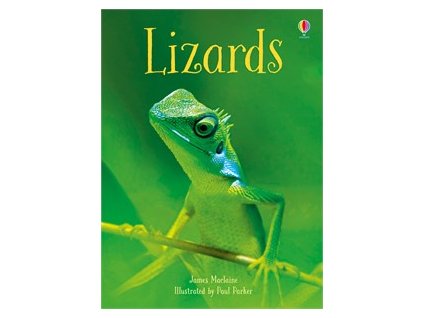 lizards