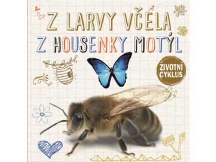 Z larvy včela, z kukly motýl - Životní cyklus