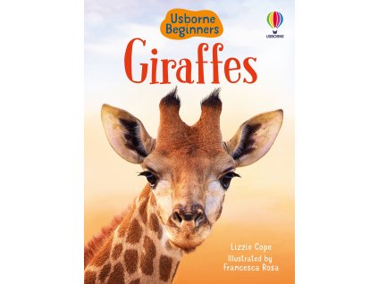 9781474968065 cover image 1649722236