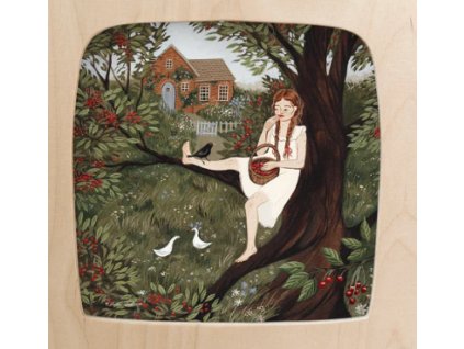 Snímek obrazovky 2025 06 11 160427