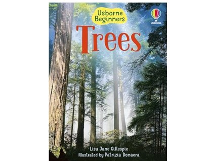 Snímek obrazovky 2025 07 31 182631