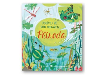 Snímek obrazovky 2025 12 16 160621