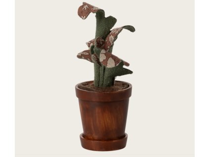 Snímek obrazovky 2026 01 14 181049