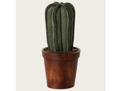 Snímek obrazovky 2026 01 14 181442