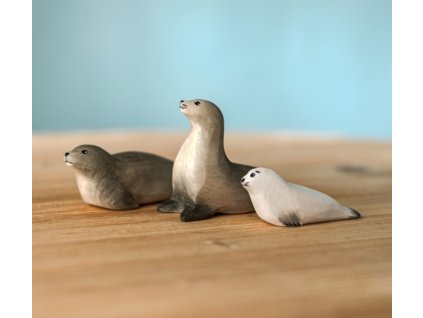 Snímek obrazovky 2026 01 15 192209