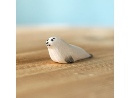 Snímek obrazovky 2026 01 15 192708