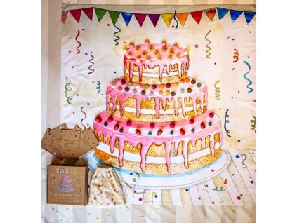 Snímek obrazovky 2026 01 29 123618