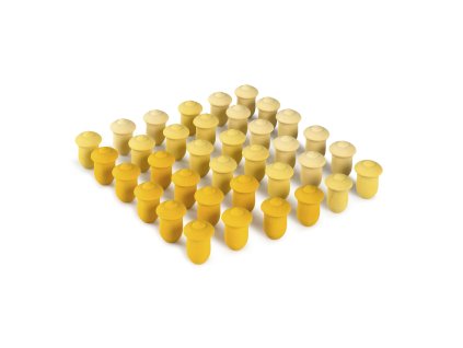 Grapat mandala tulipány