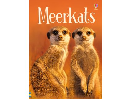 9781474941013 cover image