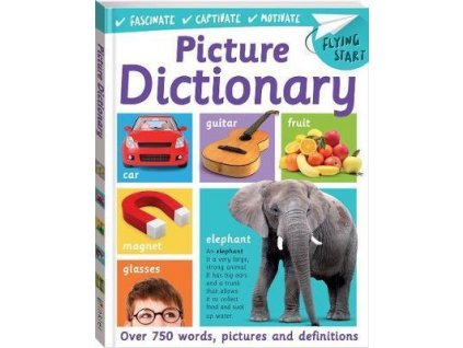 Flying Start Picture Dictionary