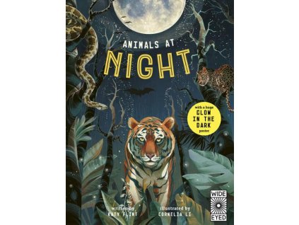 Animals at Night - Glow in the Dark