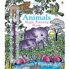 9781474960465 animals magic painting book
