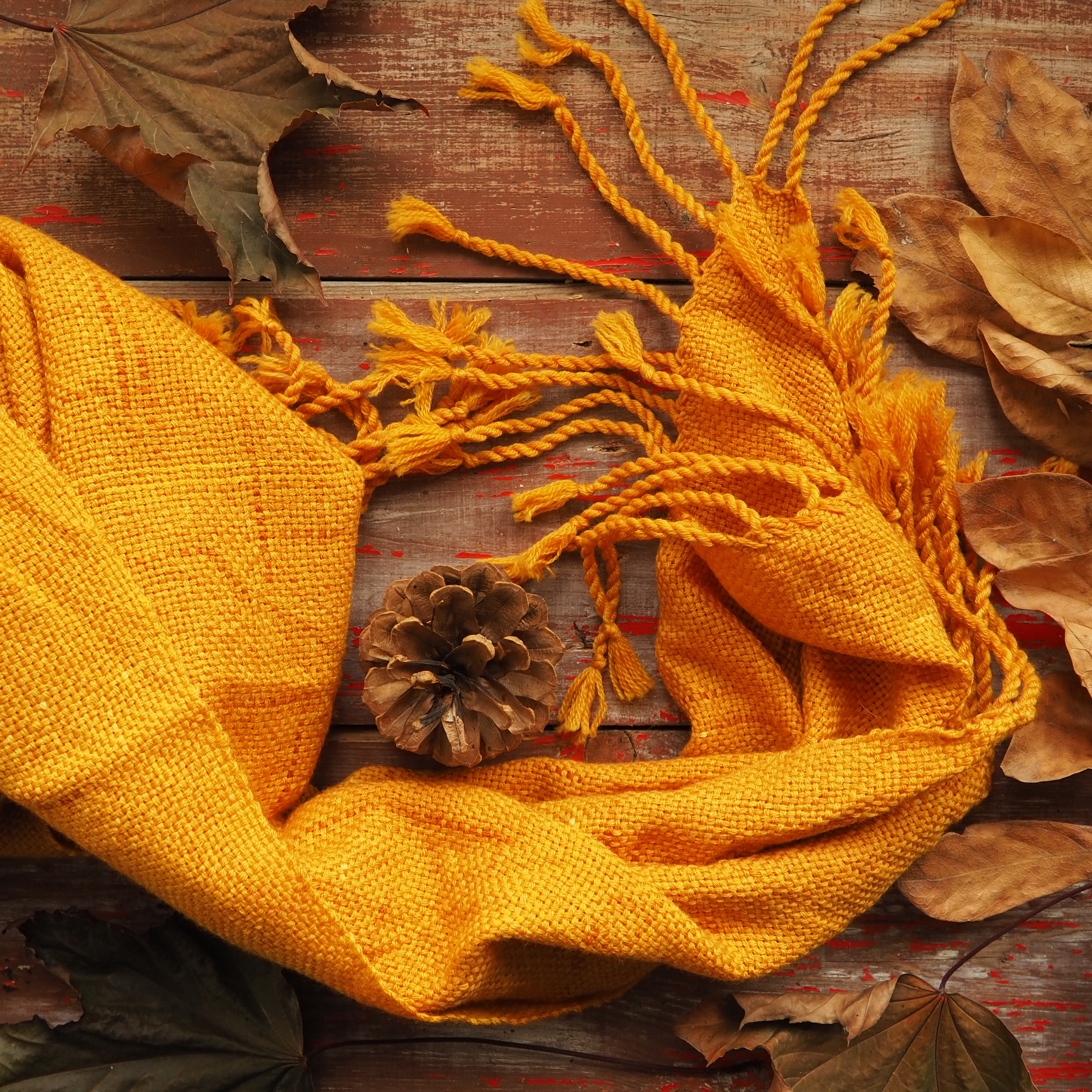 Příběh "cibulového" plédu č. 1067