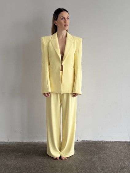 Žlutý kostým