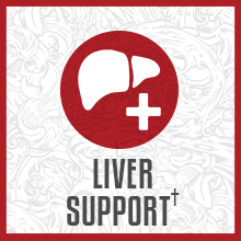 liver_icon_w_1